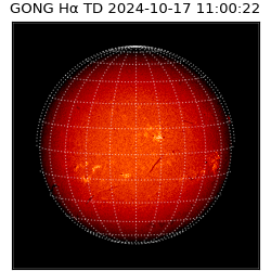 gong - 2024-10-17T11:00:22