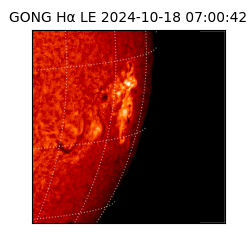 gong - 2024-10-18T07:00:42