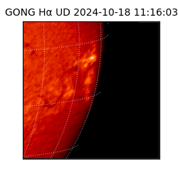 gong - 2024-10-18T11:16:03