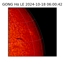 gong - 2024-10-18T06:00:42