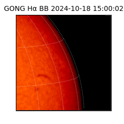 gong - 2024-10-18T15:00:02