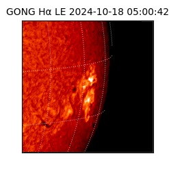 gong - 2024-10-18T05:00:42