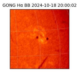 gong - 2024-10-18T20:00:02