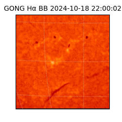 gong - 2024-10-18T22:00:02