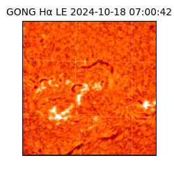 gong - 2024-10-18T07:00:42