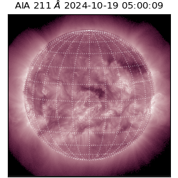 saia - 2024-10-19T05:00:09.625000