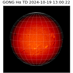 gong - 2024-10-19T13:00:22