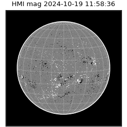 shmi - 2024-10-19T11:58:36