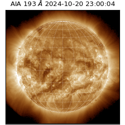 saia - 2024-10-20T23:00:04.843000