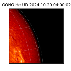 gong - 2024-10-20T04:00:02