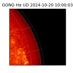 gong - 2024-10-20T10:00:03