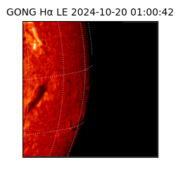 gong - 2024-10-20T01:00:42
