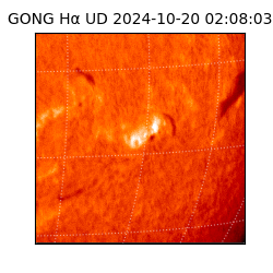 gong - 2024-10-20T02:08:03
