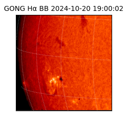 gong - 2024-10-20T19:00:02
