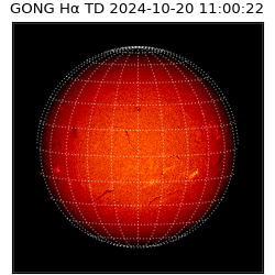 gong - 2024-10-20T11:00:22