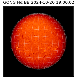 gong - 2024-10-20T19:00:02