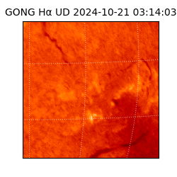 gong - 2024-10-21T03:14:03