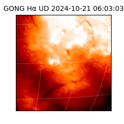 gong - 2024-10-21T06:03:03