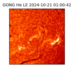 gong - 2024-10-21T01:00:42