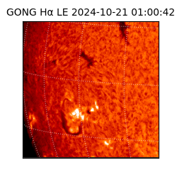 gong - 2024-10-21T01:00:42