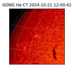 gong - 2024-10-21T12:00:42