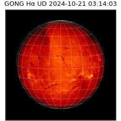 gong - 2024-10-21T03:14:03