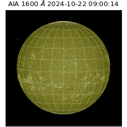 saia - 2024-10-22T09:00:14.126000