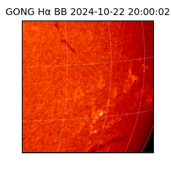 gong - 2024-10-22T20:00:02