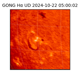 gong - 2024-10-22T05:00:02