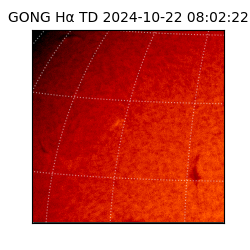 gong - 2024-10-22T08:02:22