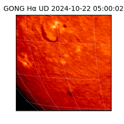 gong - 2024-10-22T05:00:02