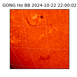 gong - 2024-10-22T22:00:02