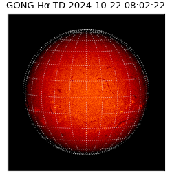 gong - 2024-10-22T08:02:22