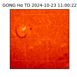 gong - 2024-10-23T11:00:22