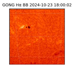 gong - 2024-10-23T18:00:02