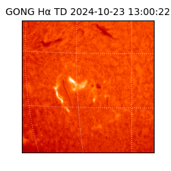 gong - 2024-10-23T13:00:22
