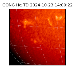 gong - 2024-10-23T14:00:22