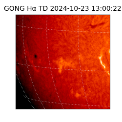 gong - 2024-10-23T13:00:22