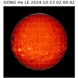 gong - 2024-10-23T02:00:42