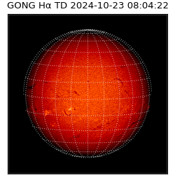 gong - 2024-10-23T08:04:22