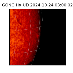 gong - 2024-10-24T03:00:02