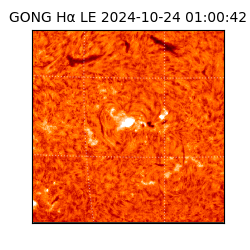 gong - 2024-10-24T01:00:42