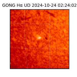gong - 2024-10-24T02:24:02