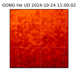 gong - 2024-10-24T11:00:02