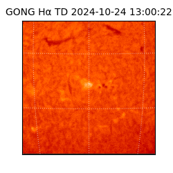 gong - 2024-10-24T13:00:22