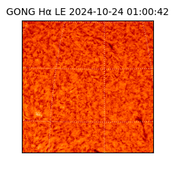 gong - 2024-10-24T01:00:42