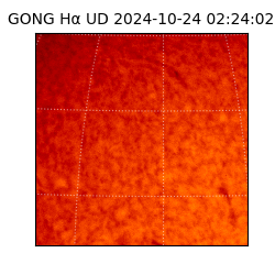 gong - 2024-10-24T02:24:02