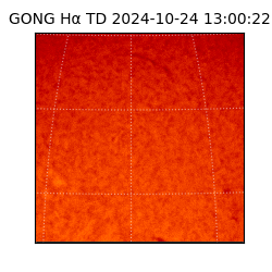 gong - 2024-10-24T13:00:22