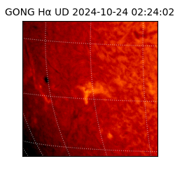 gong - 2024-10-24T02:24:02