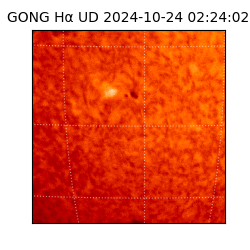 gong - 2024-10-24T02:24:02